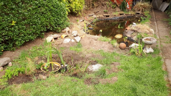 Pond lined pond May 2019 25
